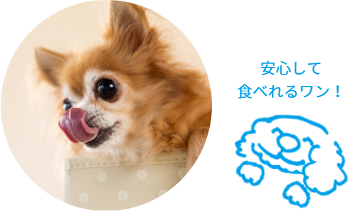 写真 ヒューマングレード