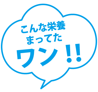 イラスト まってたワン