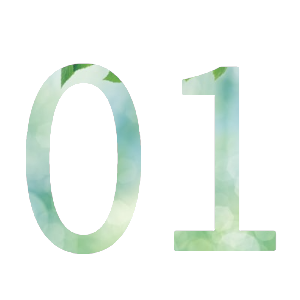 01image