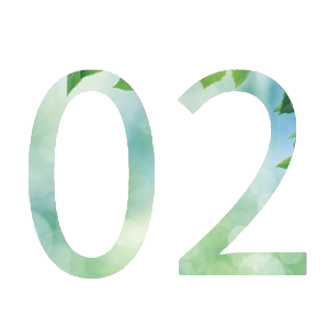 02image