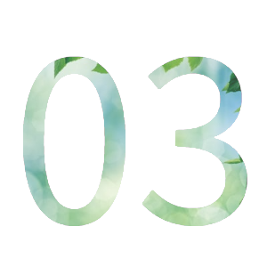 03image